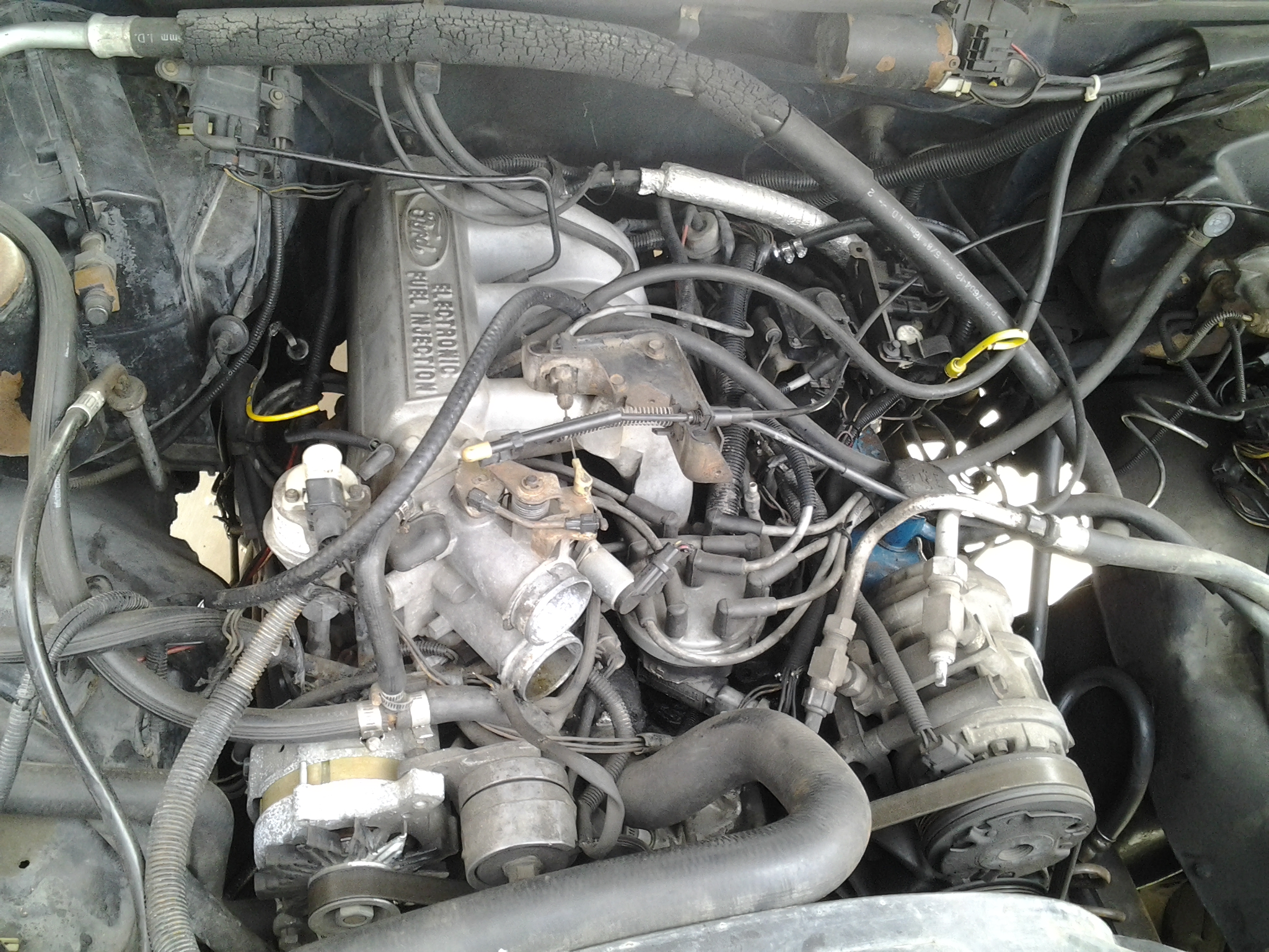 1988 Ford bronco ii engine #10